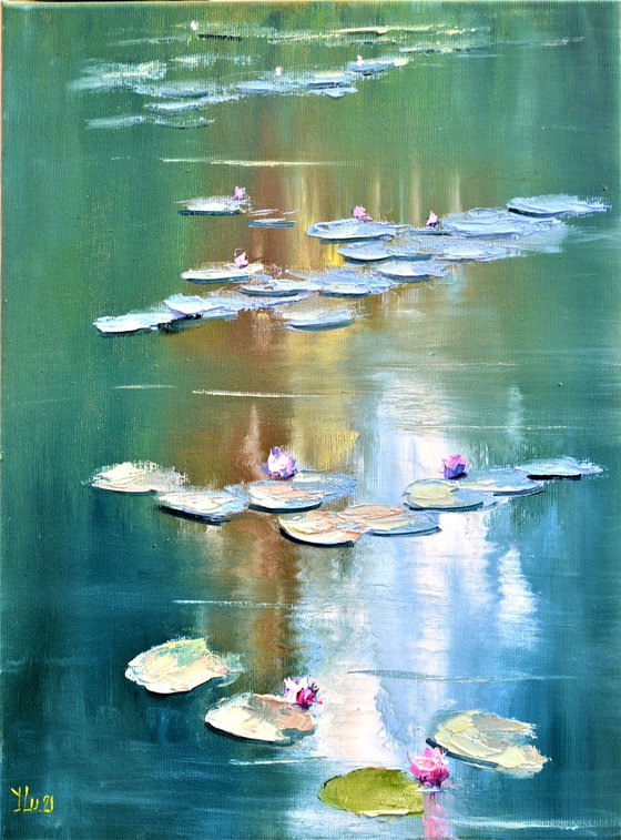 Lily pond