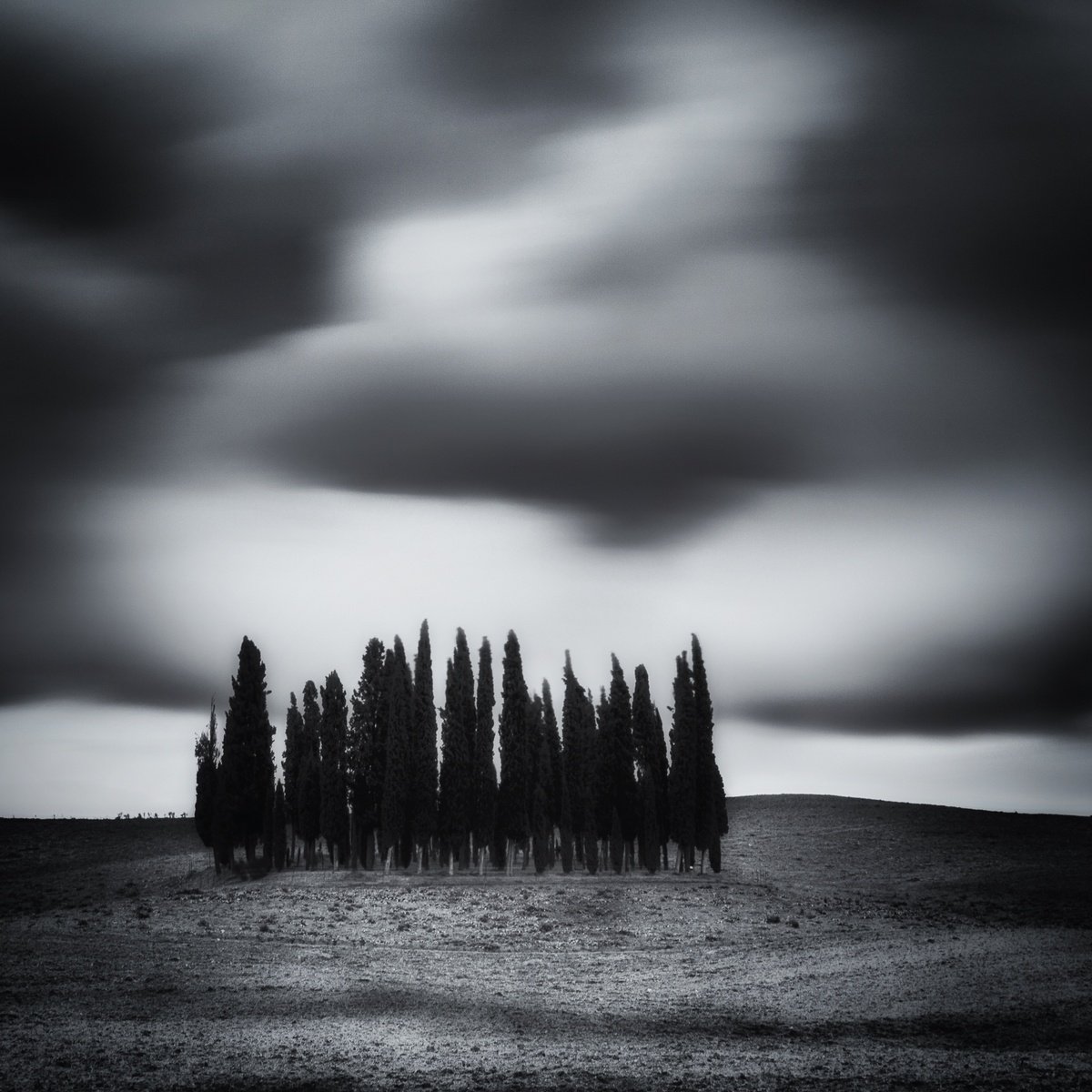 Impressionistic Landscape Photograph By Karim Carella, 30 X 30", I Cipressini (Studio 6), Original Artwork
