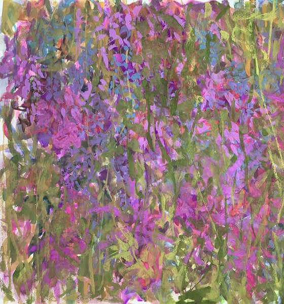 'Violet Wild Flowers'