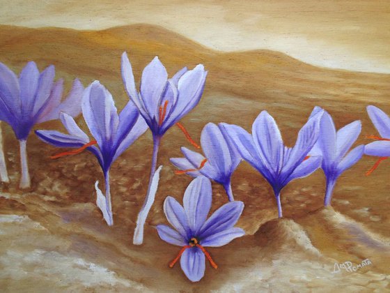 Saffron Flowers