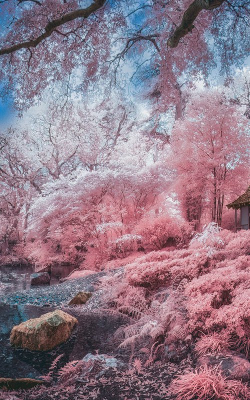 Infrared Japanese Garden by Paul Nash