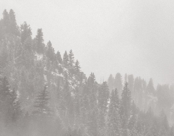 Canyon Snowfall