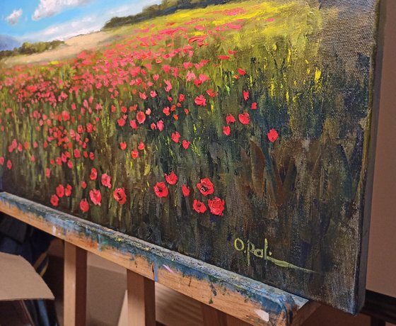 Poppies near the sea