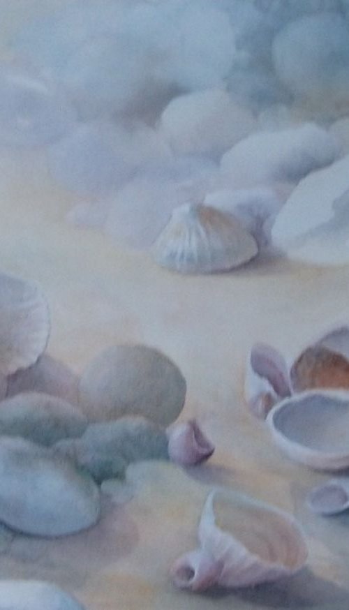 Seashells by Josephine Hudson