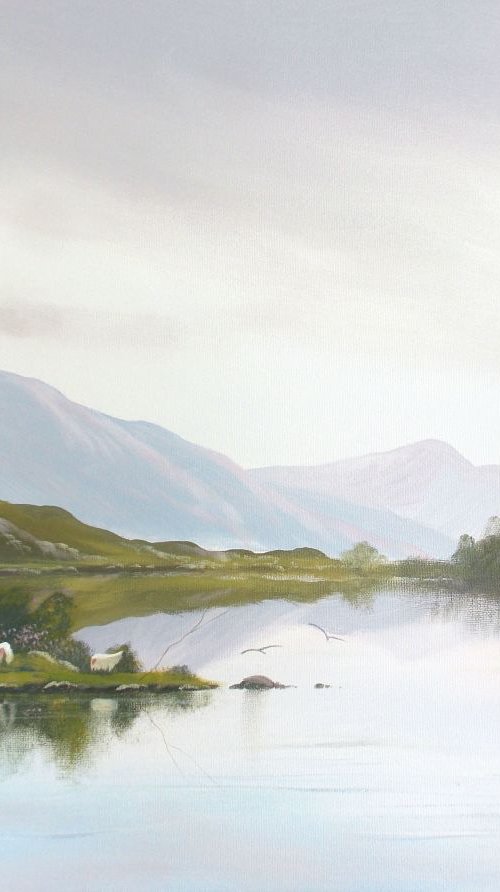 connemara morning by cathal o malley