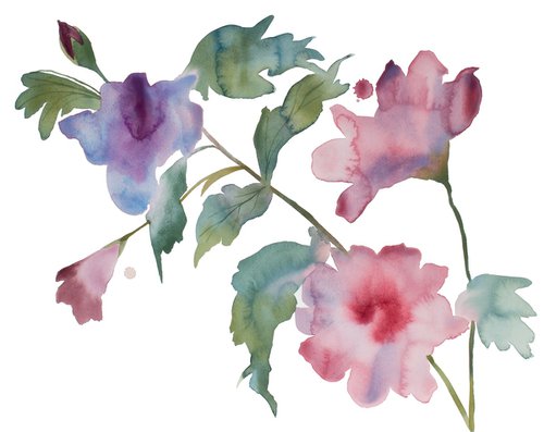 Hibiscus No. 4 by Elizabeth Becker