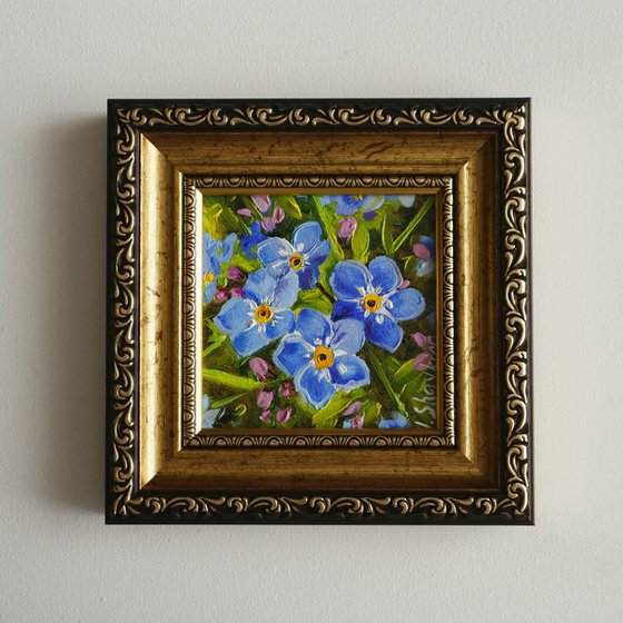 Blue Forget Me Nots