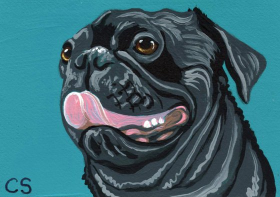 ACEO ATC Original Miniature Painting Black Pug Pet Dog Art-Carla Smale