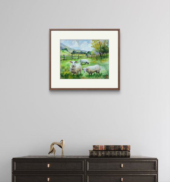 Scottish landscape with sheep
