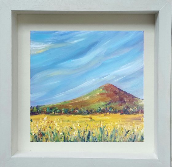 Blue Skies over Golden Rapeseed fields near the Sugarloaf, Wicklow Ireland