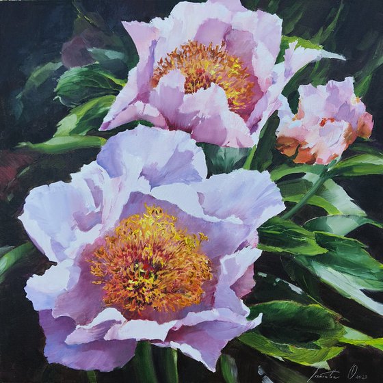 Pink peonies