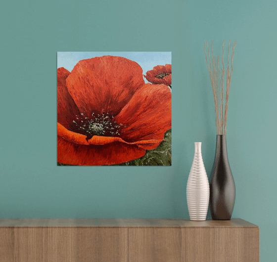 Poppies