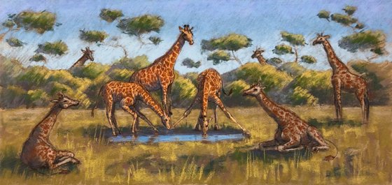 Giraffe Family