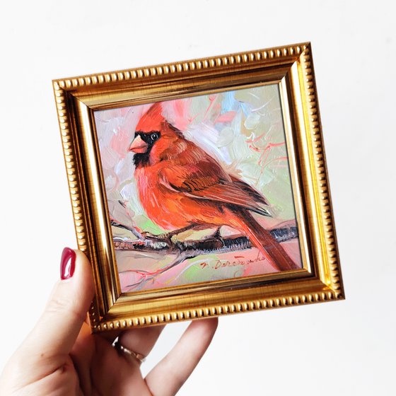 Cardinal bird