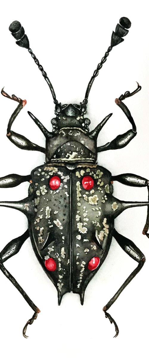Black Bug by Lisa Lennon