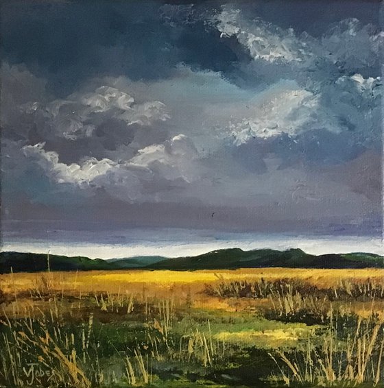 Storm Clouds over the Moor