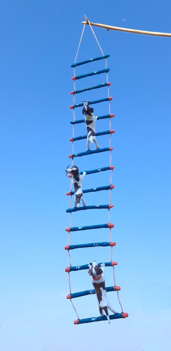 Beagles climbing ladder
