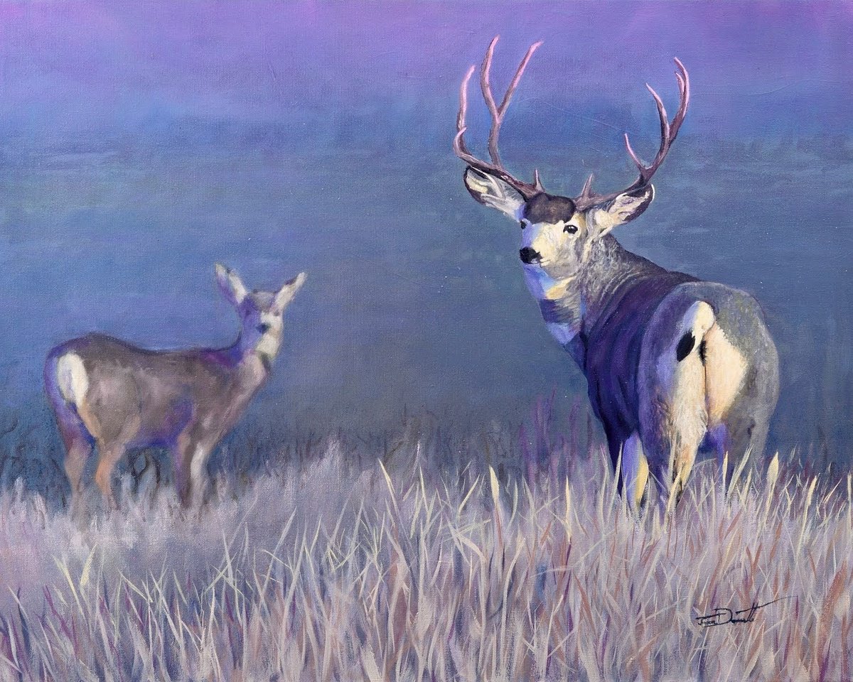 Photorealistic Animal Oil Painting By Jason Edward Doucette, 30 X 24, Mule Deer Take Warning, Original Artwork