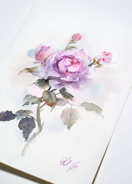 Watercolor rose with buds