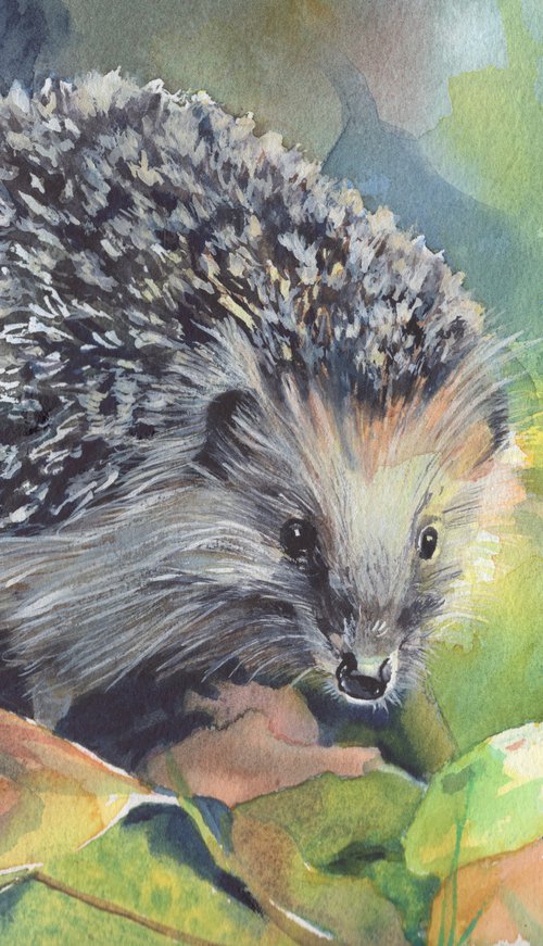 Hedgehog by Sarah Stowe