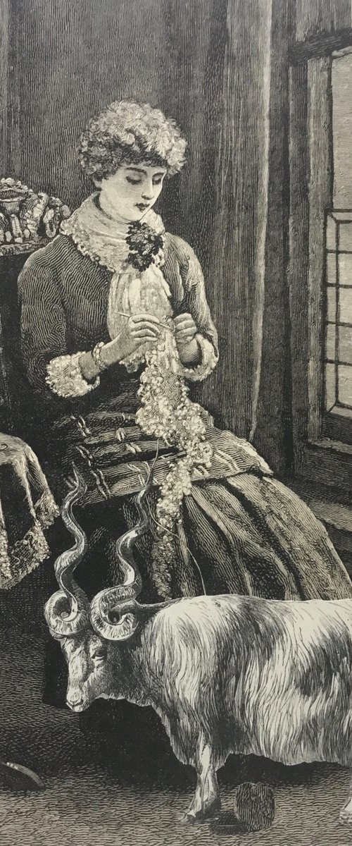 Fresh Wool Knitting by Tudor Evans