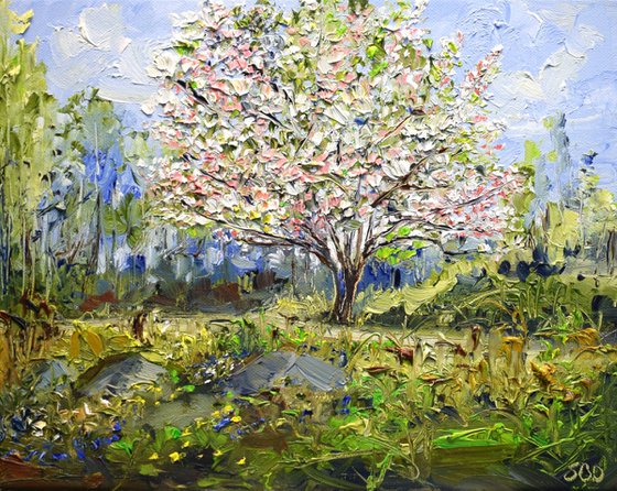 Spring dream