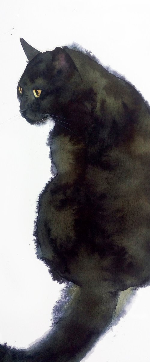 Black Cat and Spider - black c by Olga Beliaeva Watercolour
