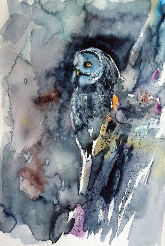 Owl at night