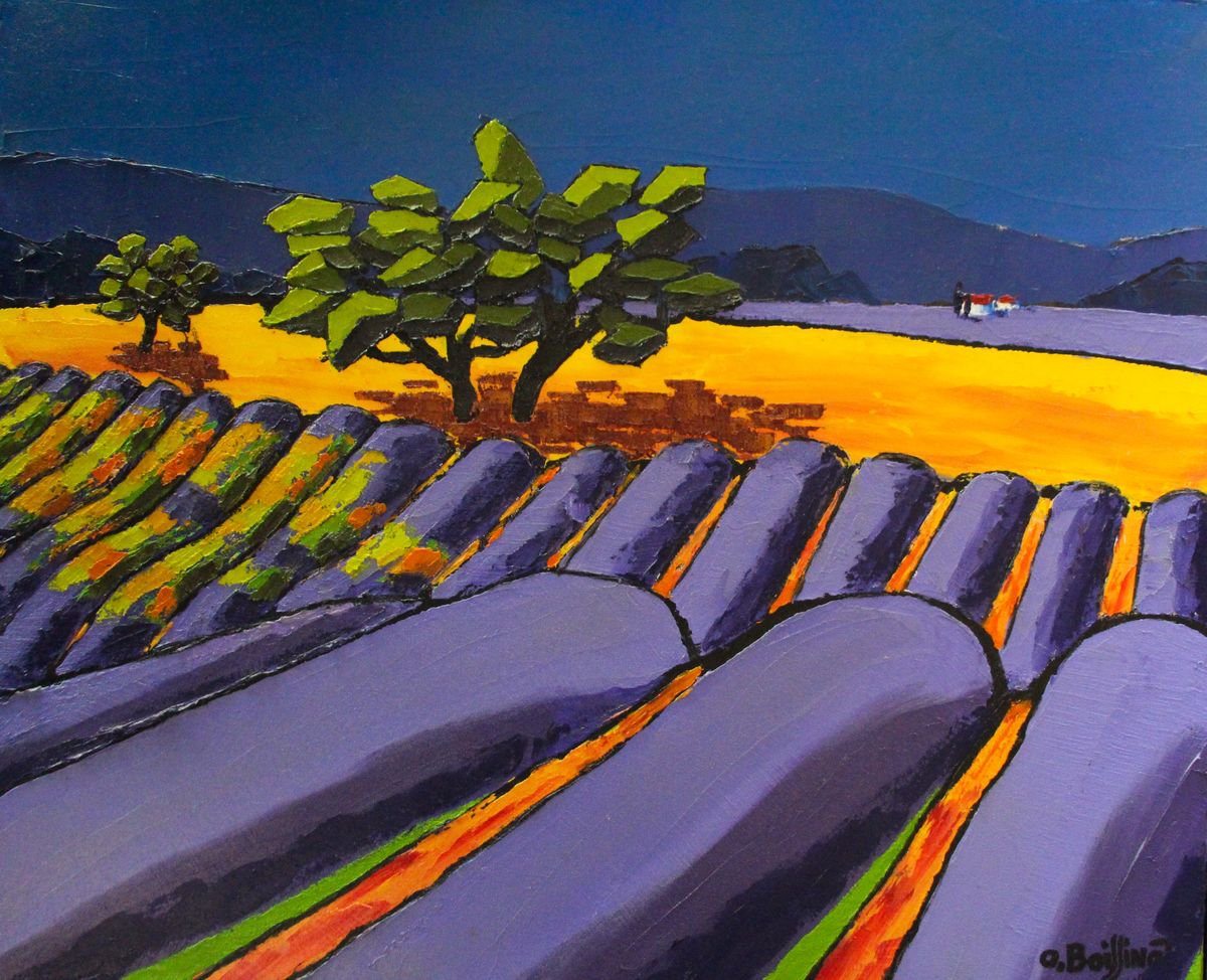 Provence Lavanders fields by Olivier Boissinot