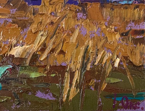 Evening on the river