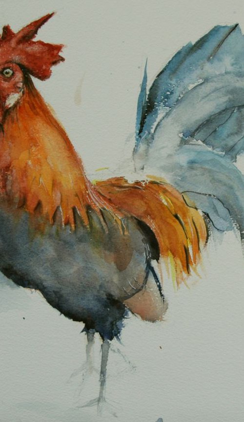 Rooster by Tomasz Mikutel