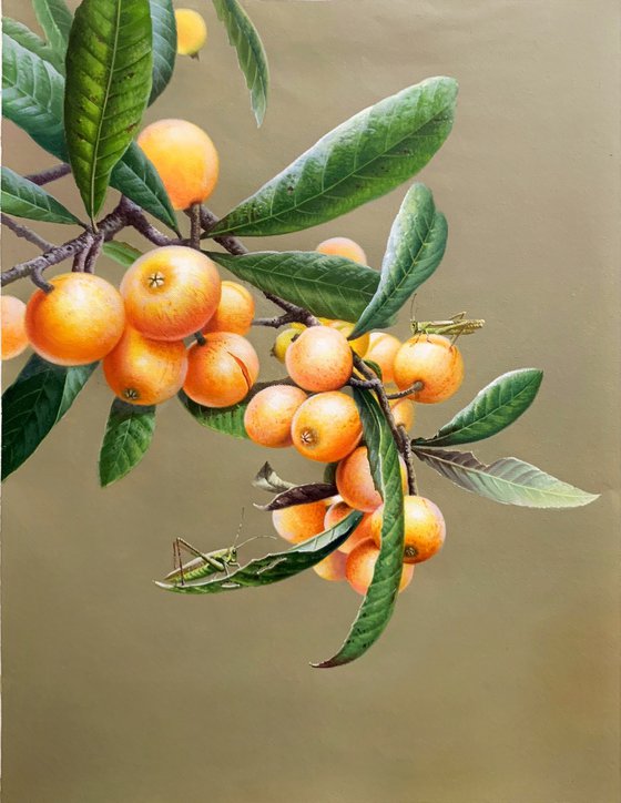 Still life:Loquats and grasshoppers on the branches