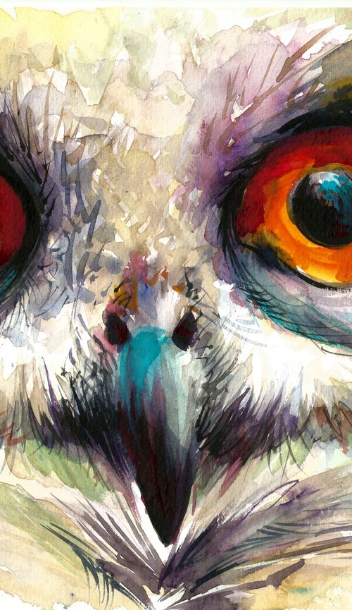 OWL Eyes by Soos Roxana Gabriela