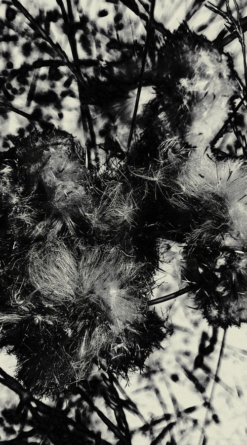Timeless Shadows 4. by Petr Strnad
