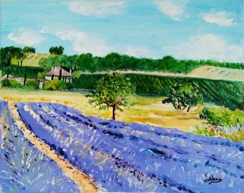 Lavender and vineyard by Isabelle Lucas
