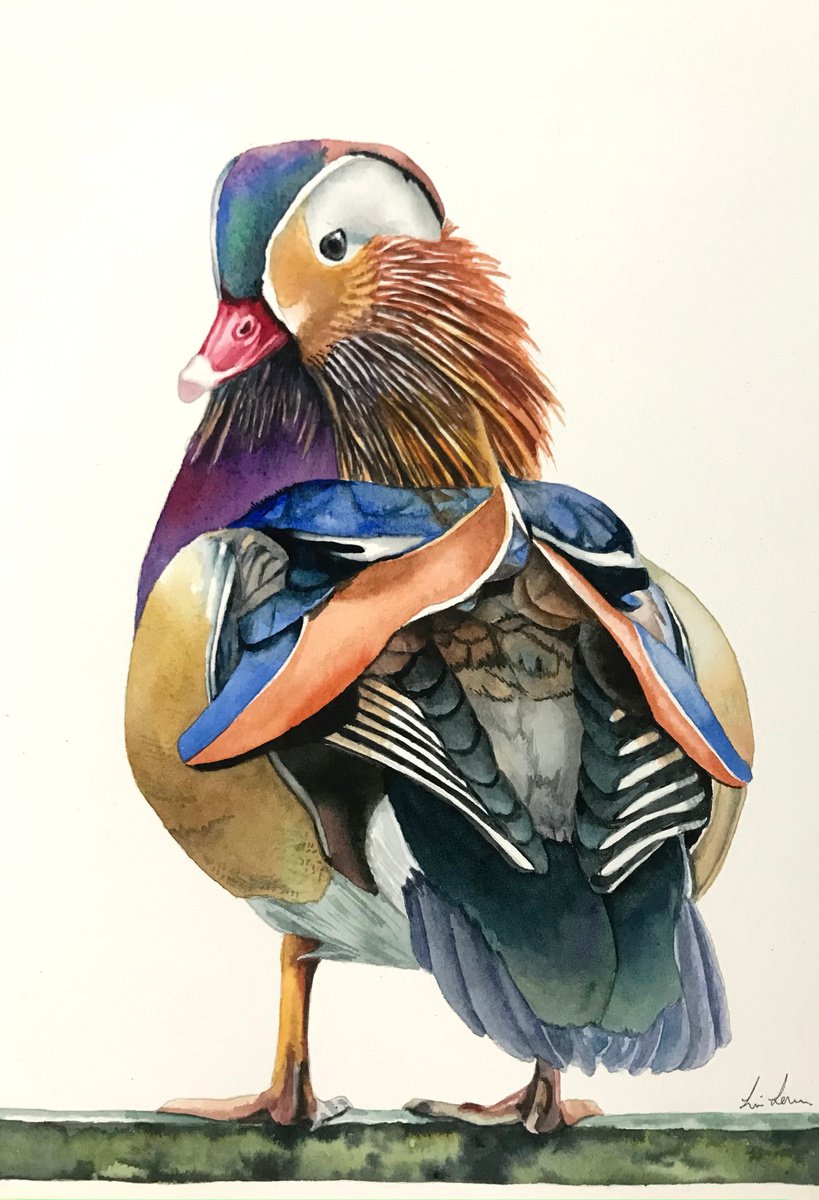 Mandarin Duck. by Lisa Lennon