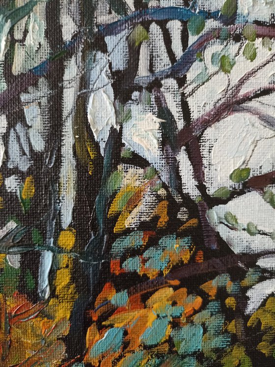 Little river in the autumn