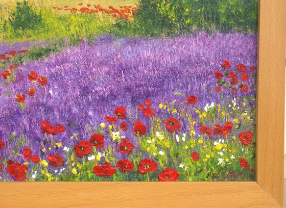 Summer in Tuscany