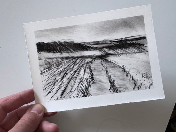 Pennsylvania Fields 3