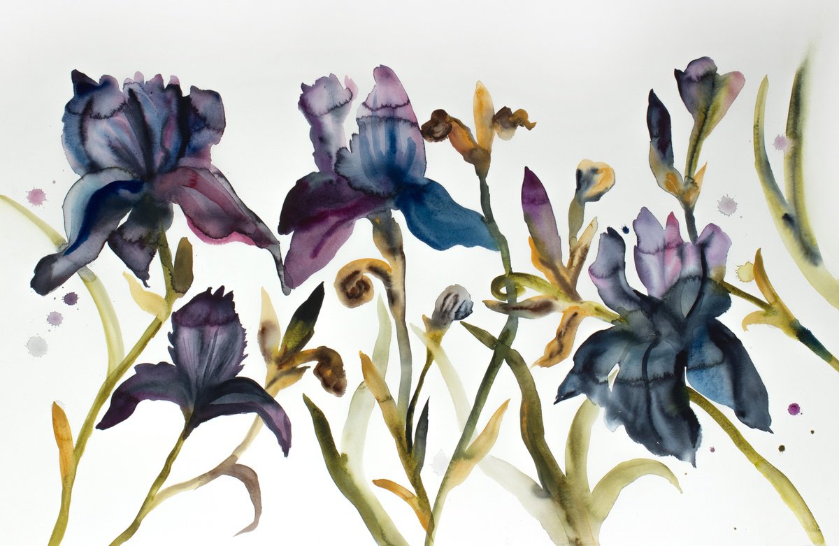 Expressive Botanical Watercolour By Elizabeth Becker, 40 X 26, Irises No. 4, Original Artwork