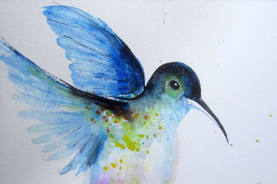 Hummingbirds 5