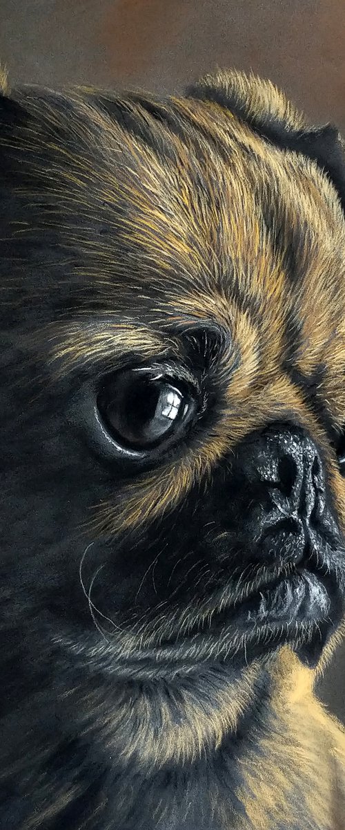 Pug Portrait ll (Original Painting) by Sean Afford