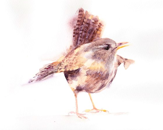 Wren painting, Wren in watercolour, Original Watercolour Bird painting