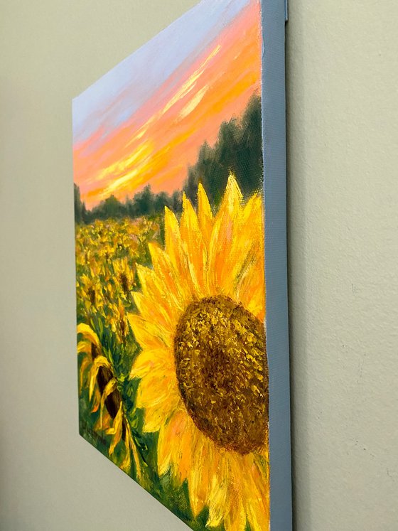 Charming sunflowers