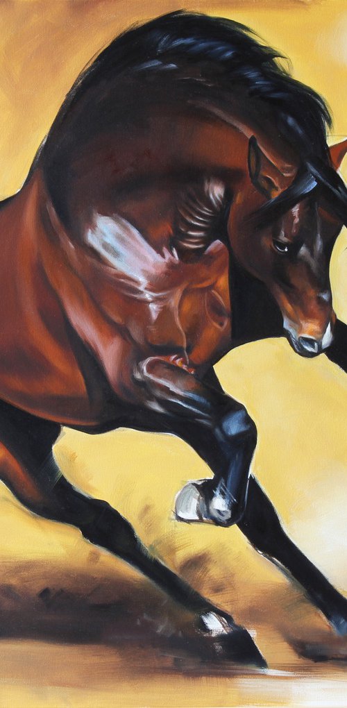 Brown horse running by Marie Madej