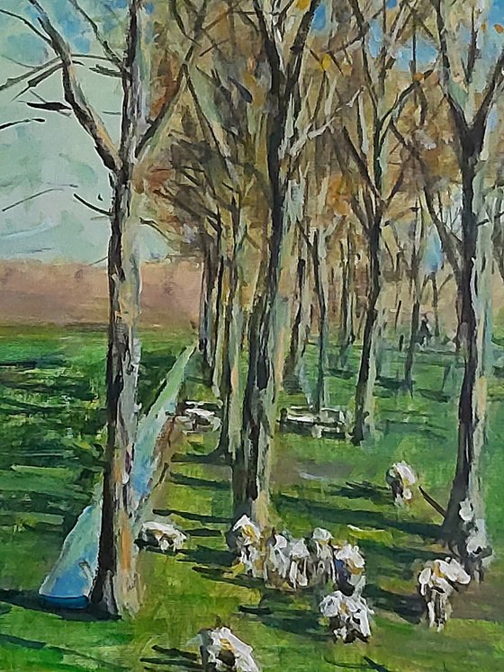 Sheep in the forest