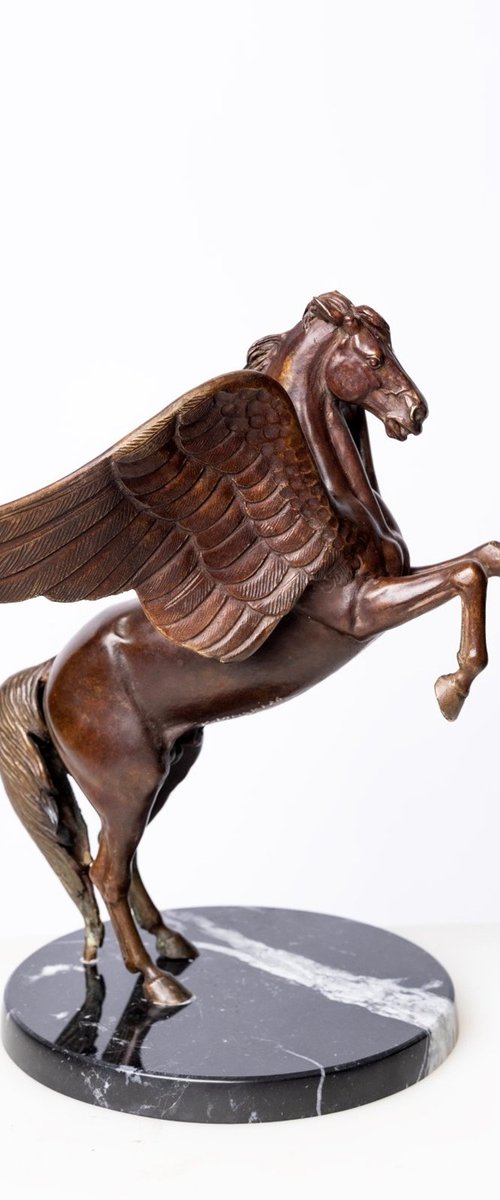 Pegasus by Krasimir Krastev