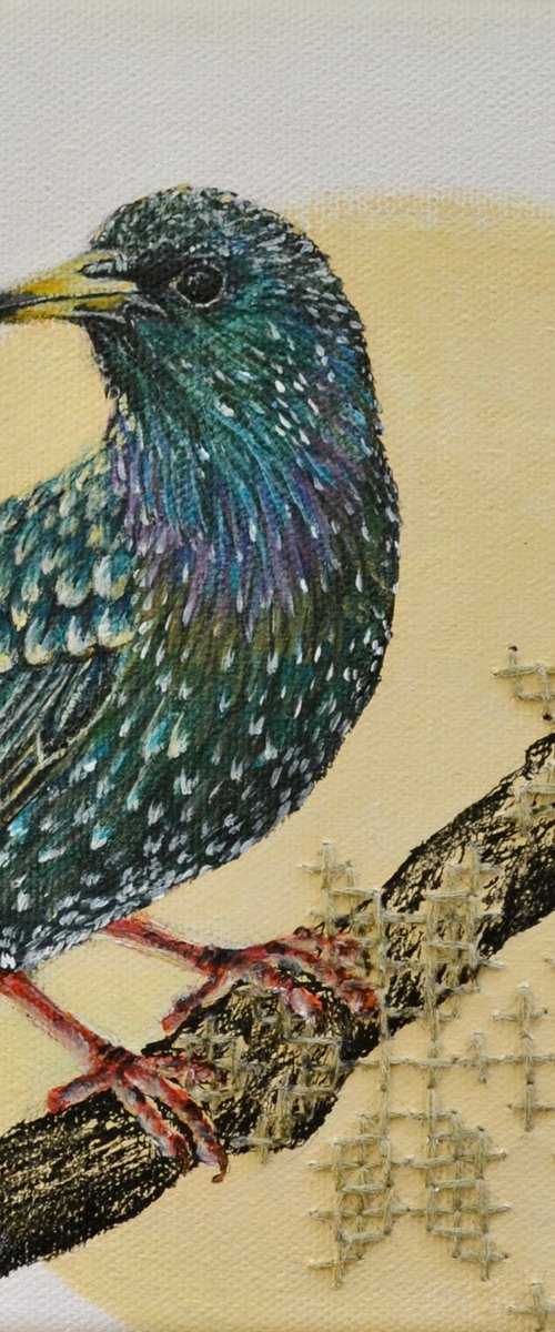 COURTYARD MEMORIES II: STARLING by Yuliia Naumenko