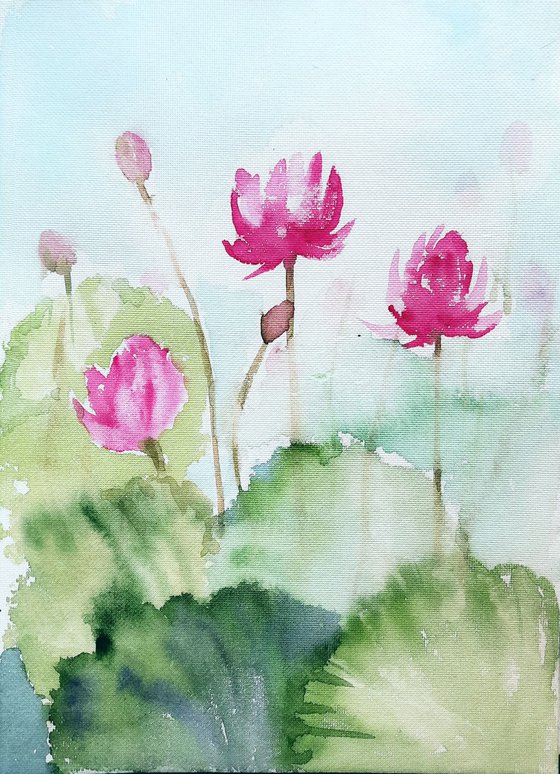 Set of painterly water lilies