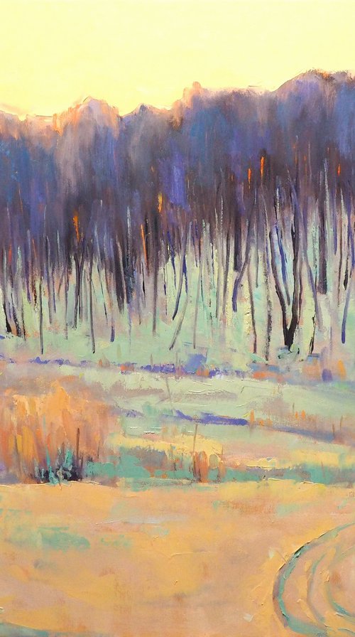 Winter landscape by Yuanyuan Liu